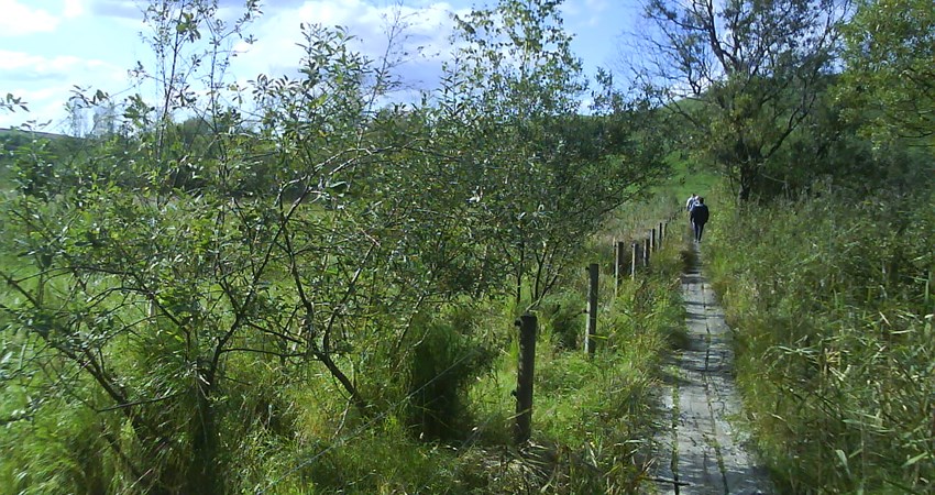 DSC00103.JPG