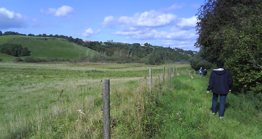 DSC00100.JPG